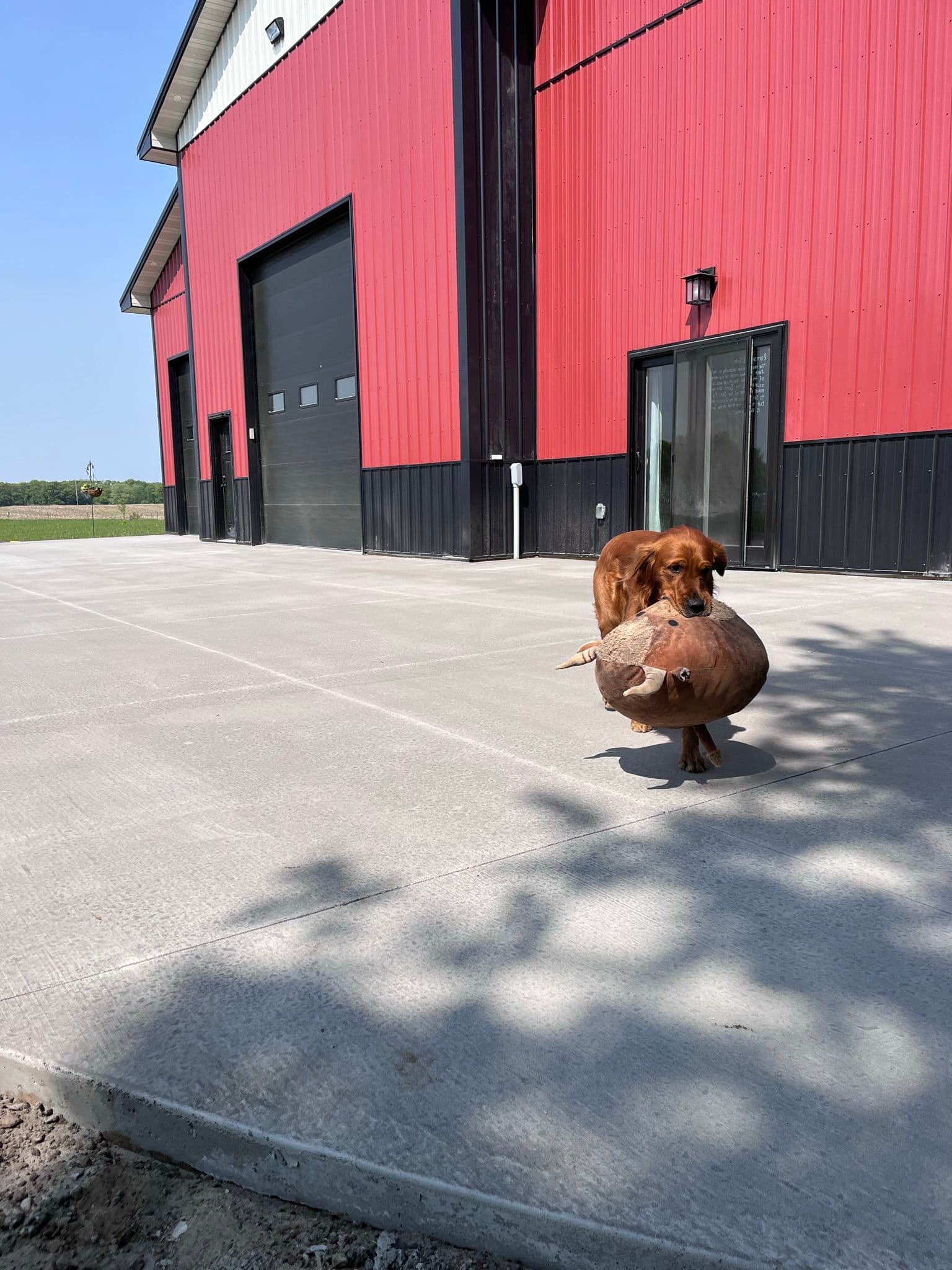 Gallery photos for Expertly Crafted Concrete Patios for Homes in Minnesota: Image #15