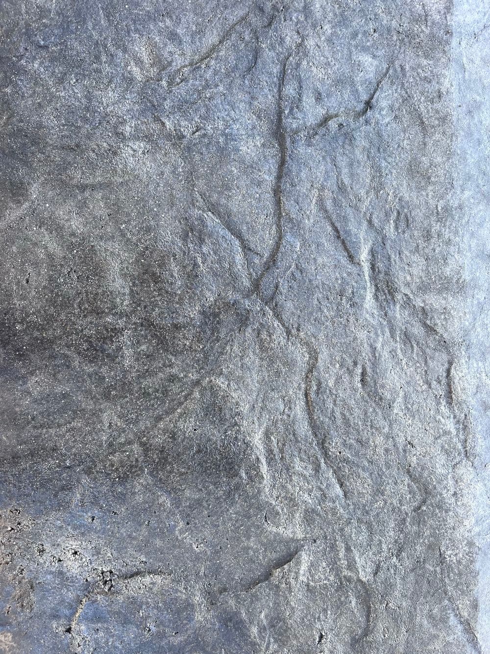 Gallery photos for Expertly Crafted Stamped Concrete for Homes in Minnesota: Image #108