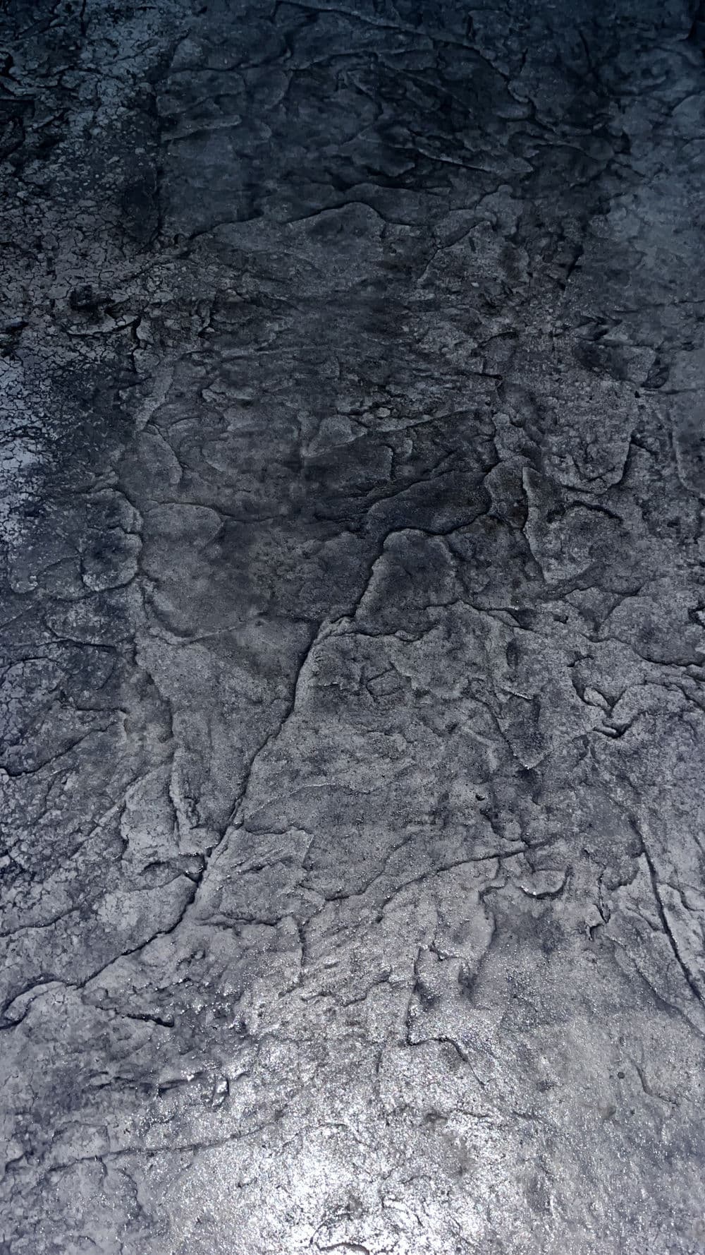 Gallery photos for Expertly Crafted Stamped Concrete for Homes in Minnesota: Image #118